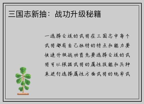 三国志新抽：战功升级秘籍
